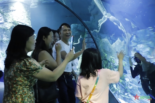 Thủy cung Lotte World Hà Nội - Thế giới đại dương đầy màu sắc